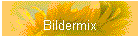 Bildermix